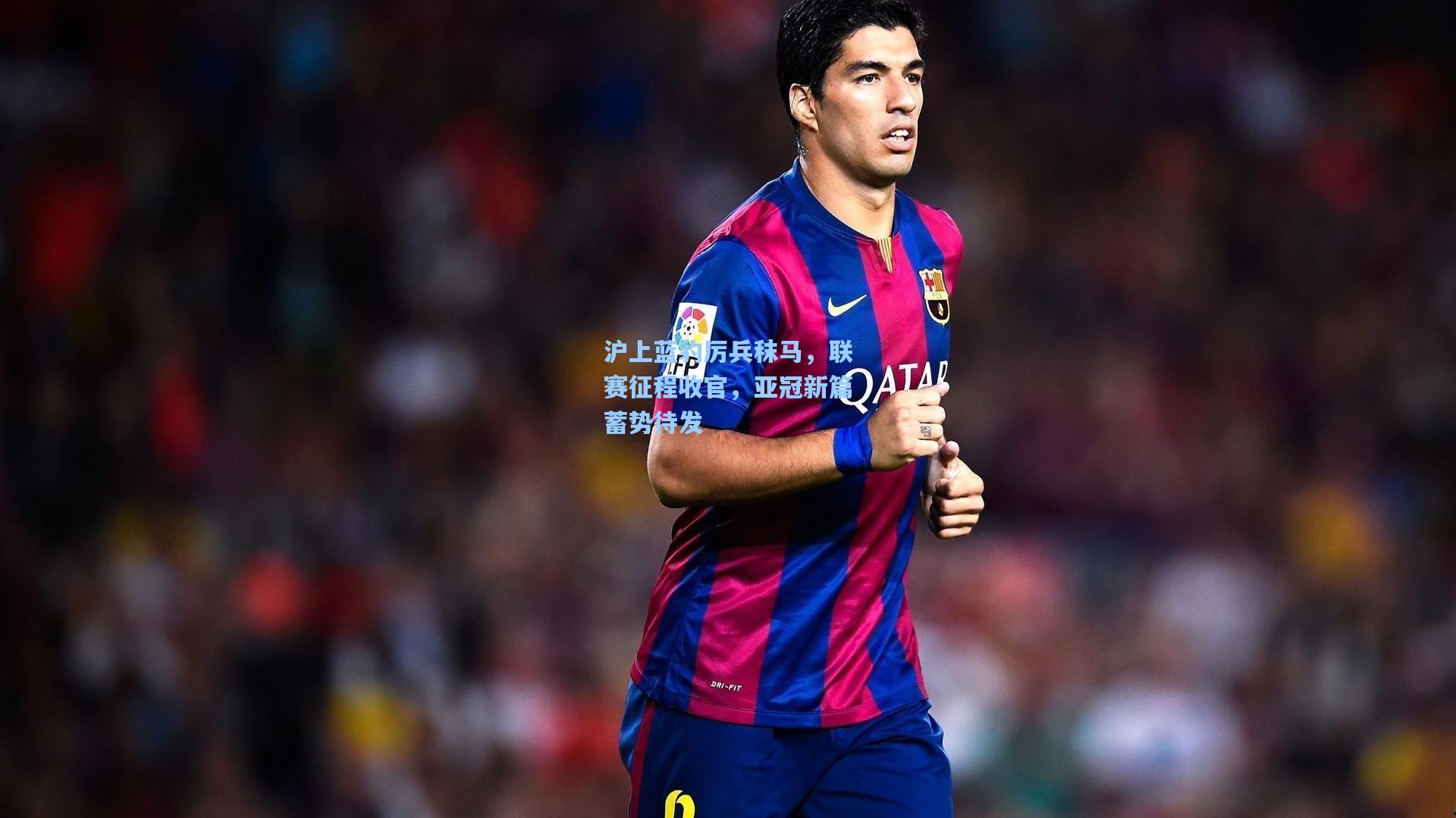 沪上蓝豹厉兵秣马，联赛征程收官，亚冠新篇蓄势待发