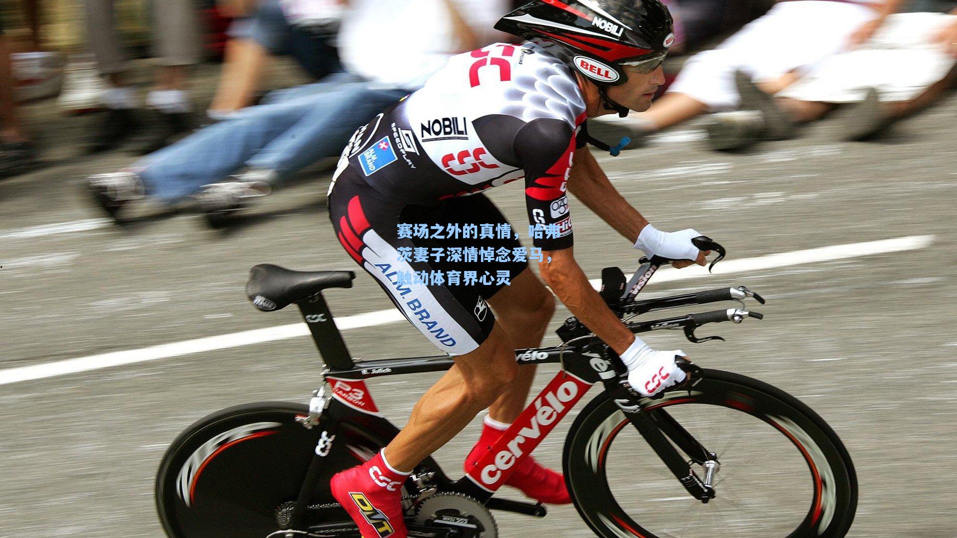 赛场之外的真情，哈弗茨妻子深情悼念爱马，触动体育界心灵